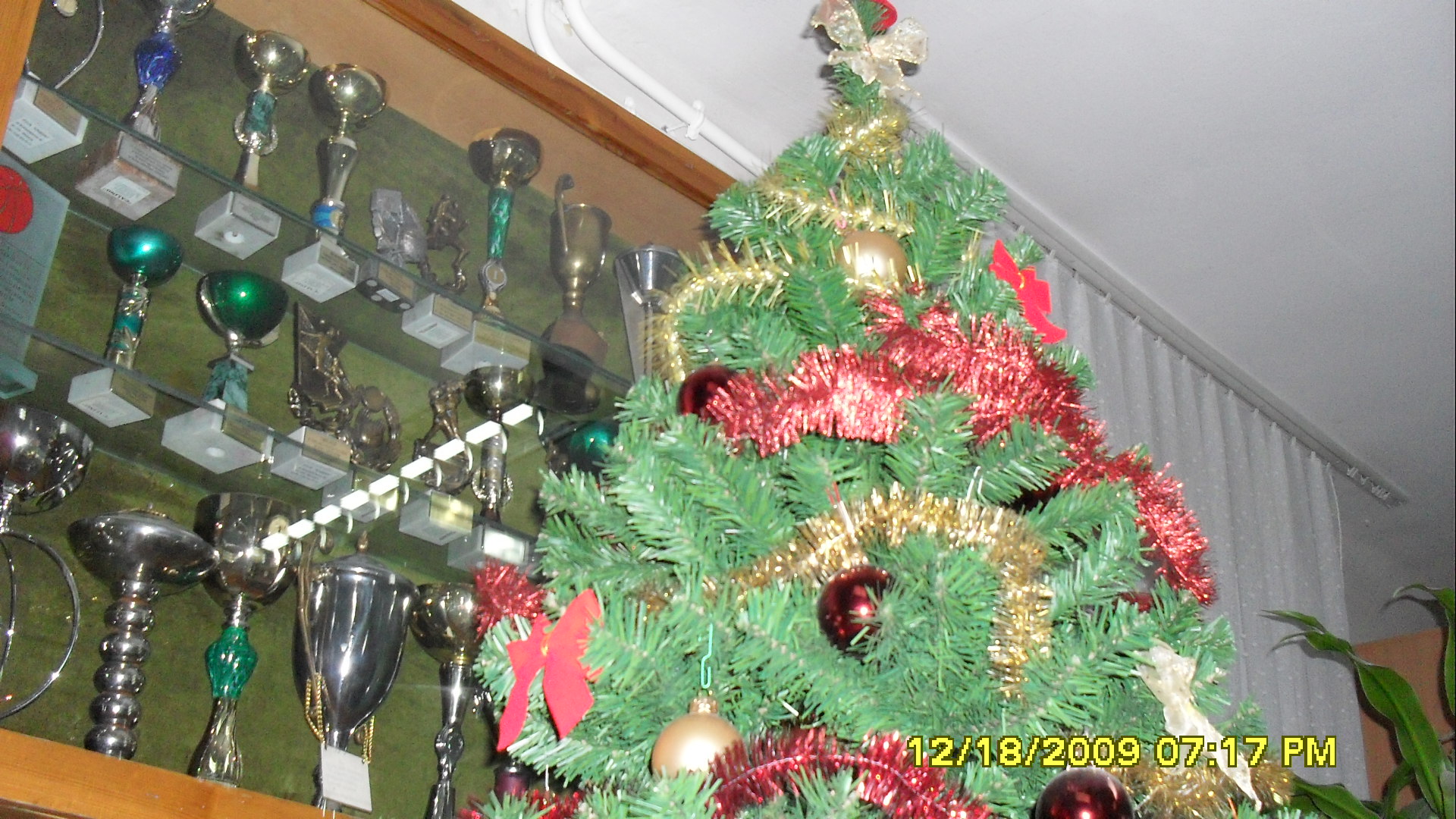 SDC10491.JPG (thumbnail)