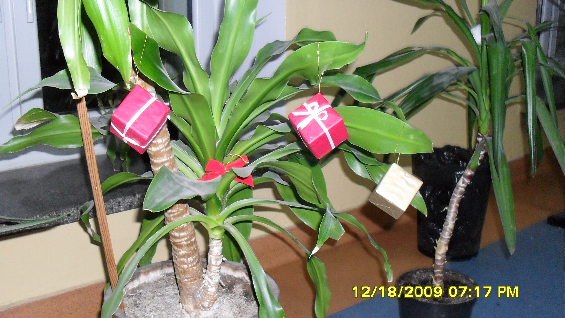 SDC10492.JPG (thumbnail)