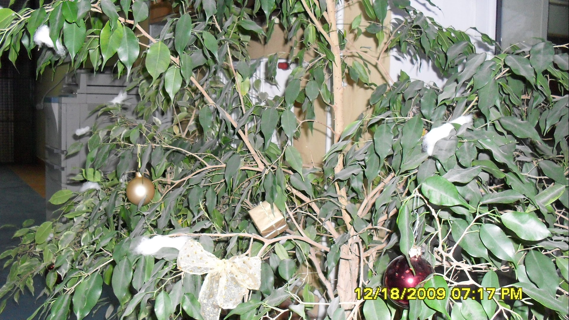 SDC10493.JPG (thumbnail)