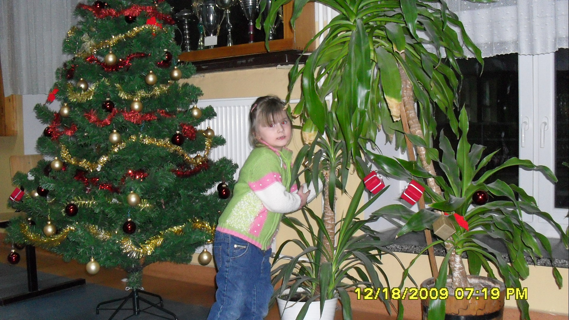 SDC10498.JPG (thumbnail)