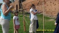 SDC11328_m.jpg (thumbnail)