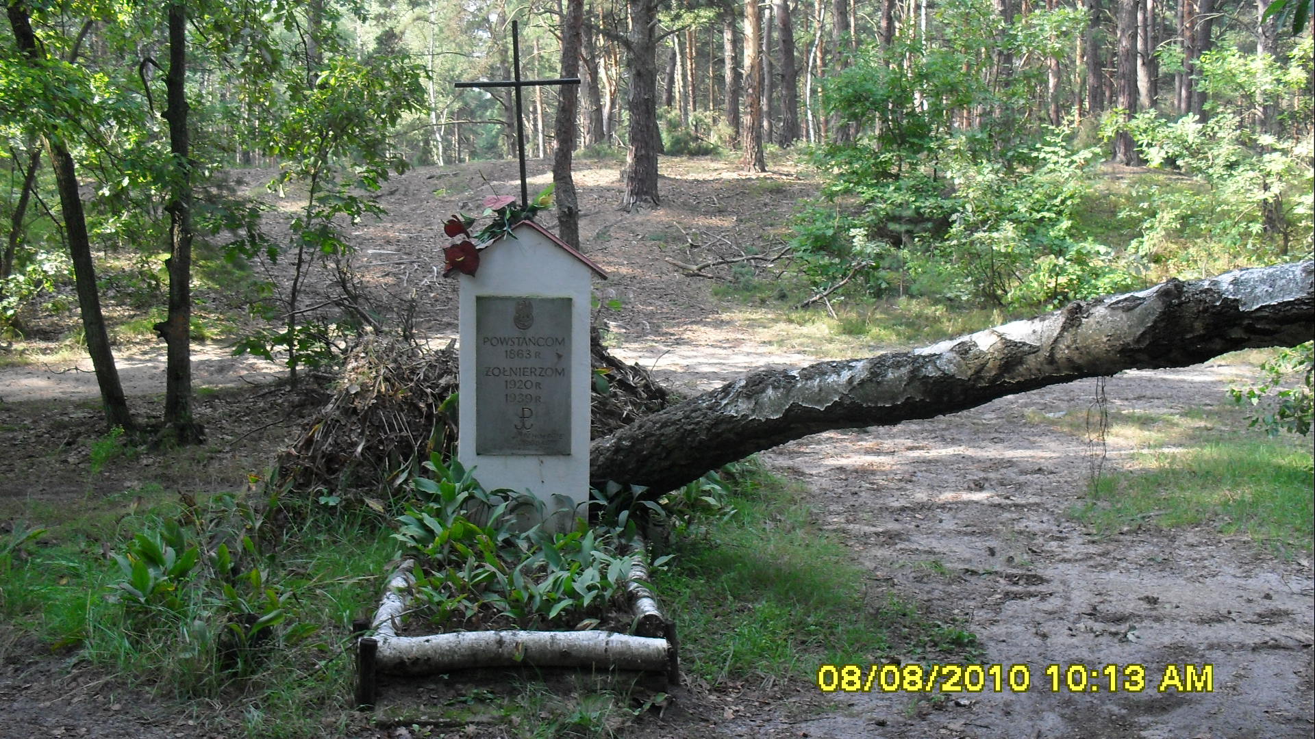 SDC11366.JPG (thumbnail)