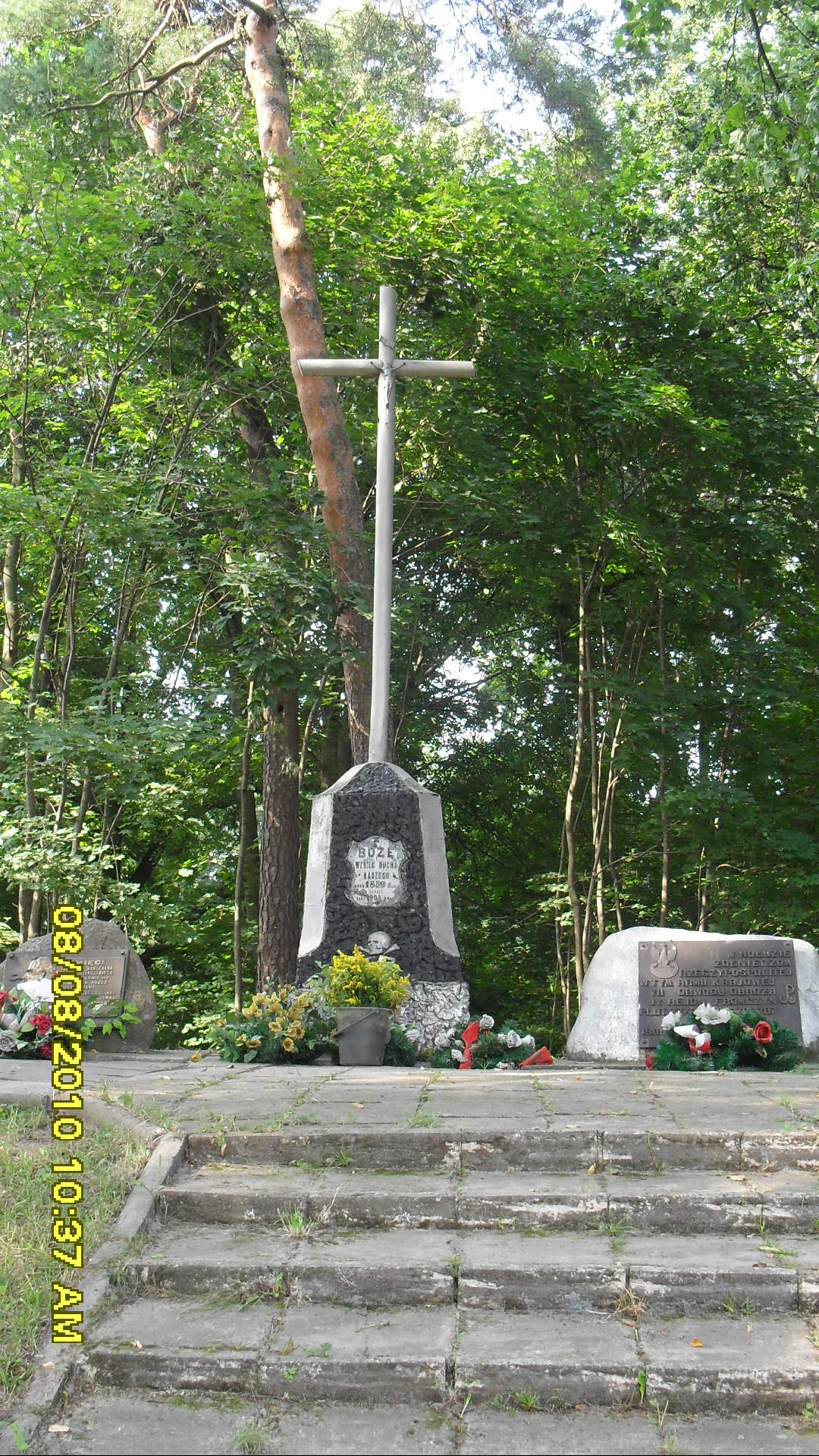 SDC11367.JPG (thumbnail)