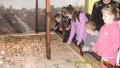 SDC11504_m.jpg (thumbnail)