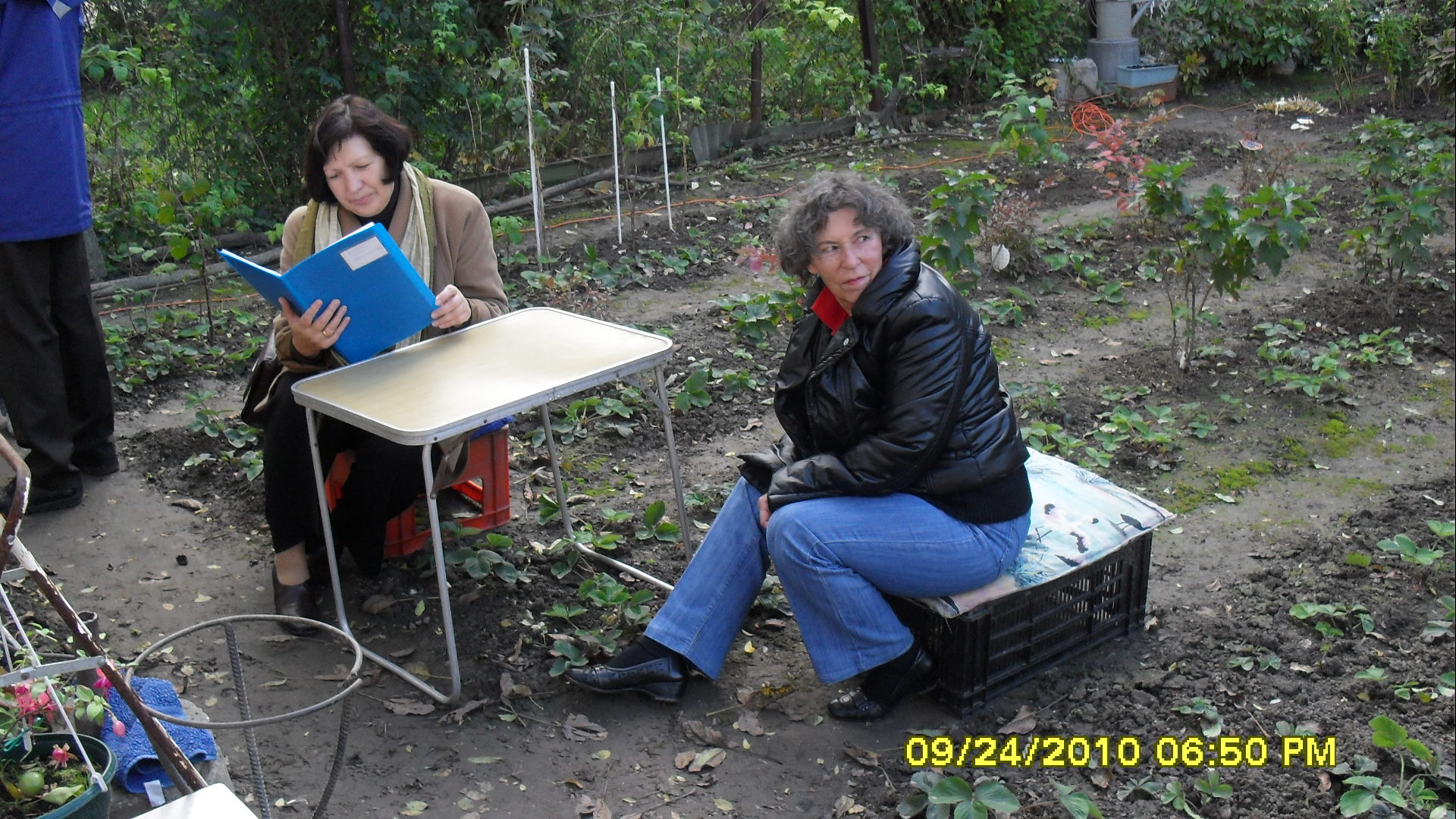 SDC11526.JPG (thumbnail)