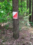 IMG_4789_m.jpg (thumbnail)