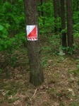 IMG_4792_m.jpg (thumbnail)