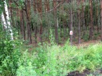 IMG_5262_m.jpg (thumbnail)