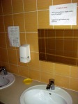 IMG_5283_m.jpg (thumbnail)