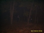 S8003398.m.jpg (thumbnail)