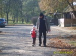 S8003414.m.jpg (thumbnail)