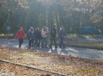 S8003416.m.jpg (thumbnail)