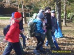 S8003417.m.jpg (thumbnail)