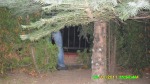 SDC13108.m.jpg (thumbnail)