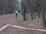 044.JPG (thumbnail)