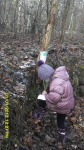 SDC13485.JPG (thumbnail)