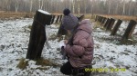 SDC13489.JPG (thumbnail)