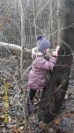 SDC13497.JPG (thumbnail)