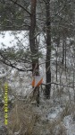 SDC13532.JPG (thumbnail)