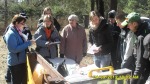 SDC13931_AK.JPG (thumbnail)