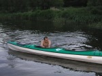 208.JPG (thumbnail)