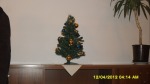 SDC15141.JPG (thumbnail)