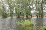 IMG_1839.JPG (thumbnail)