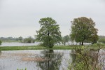 IMG_1858.JPG (thumbnail)