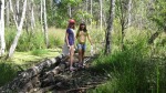 SDC15775.JPG (thumbnail)