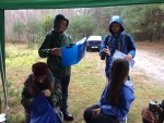 IMG_7896.JPG (thumbnail)