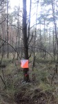 Podkurek 2017 007.jpg (thumbnail)
