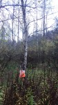 Podkurek 2017 014.jpg (thumbnail)