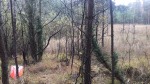 Podkurek 2017 016.jpg (thumbnail)
