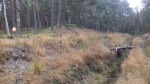 Podkurek 2017 022.jpg (thumbnail)