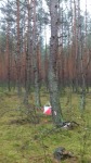 Podkurek 2017 028.jpg (thumbnail)