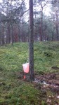 Podkurek 2017 030.jpg (thumbnail)