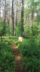 DyMnO 2018 po imprezie 012_m.jpg (thumbnail)