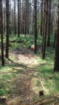 DyMnO 2018 po imprezie 013_m.jpg (thumbnail)