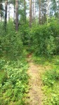 DyMnO 2018 po imprezie 016_m.jpg (thumbnail)