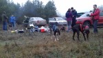 Orient Dog Run 006.jpg (thumbnail)