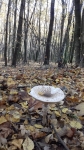 MP RJnO, Przejście Smoka 19 039_m.jpg (thumbnail)