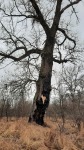 20201226_114914_m.jpg (thumbnail)