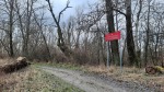 20201226_115131_m.jpg (thumbnail)