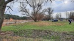 20201226_130326_m.jpg (thumbnail)