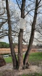 20201226_143016_m.jpg (thumbnail)