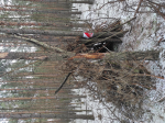 IMG_20211223_110029.jpg (thumbnail)