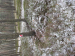 IMG_20211223_114511.jpg (thumbnail)