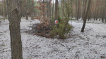 IMG_20211223_134312.jpg (thumbnail)