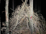 IMG_4391.jpg (thumbnail)