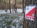 f2.jpg (thumbnail)